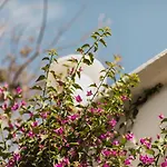 Sant Ignasi Ciutadella (Menorca)
