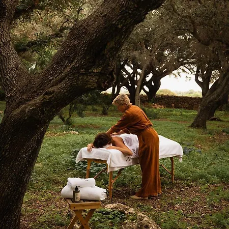 Hotel Hotel Sant Ignasi