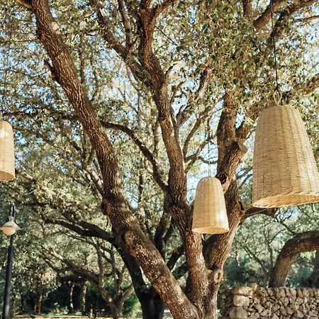 Hotel Hotel Sant Ignasi 4*