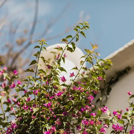 Rural Sant Ignasi Ciutadella (Menorca)