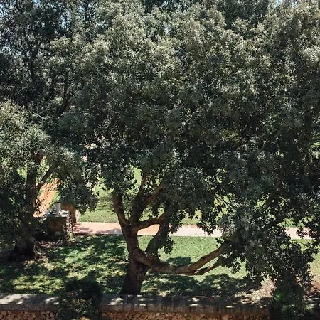 Rural Sant Ignasi 4*